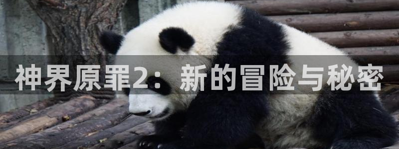 手机奇亿娱乐下载安装：神界原罪2：新的冒险与秘密