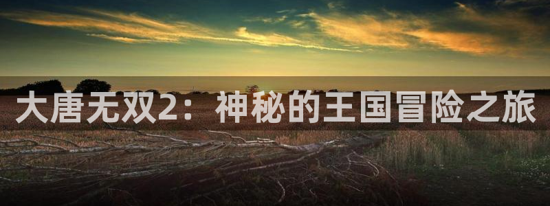 奇亿娱乐咨询：大唐无双2：神秘的王国冒险之旅