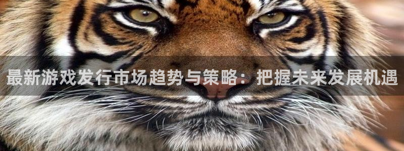 奇亿娱乐注册服务条款：最新游戏发行市场趋势与策略：把握未来发