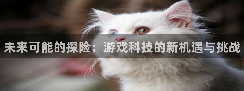 奇亿娱乐手机网页版登录：未来可能的探险：游戏科技的新机遇与挑
