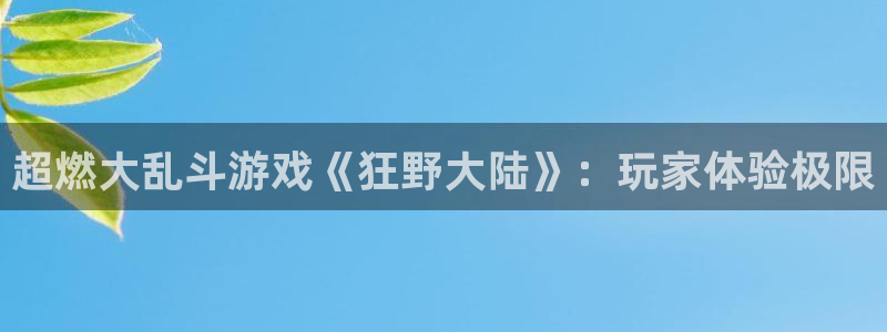 奇亿娱乐app下载：超燃大乱斗游戏《狂野大陆》：玩家体验极限