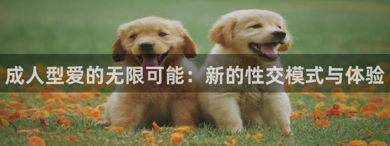 jr看直播nba：成人型爱的无限可能：新的性交模式与体验