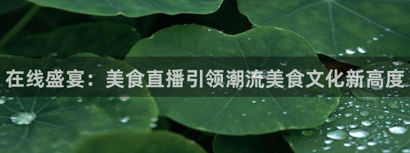 jrkan直播篮球：在线盛宴：美食直播引领潮流美食文化新高度