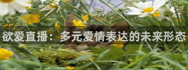 jrkan直播篮球：欲爱直播：多元爱情表达的未来形态